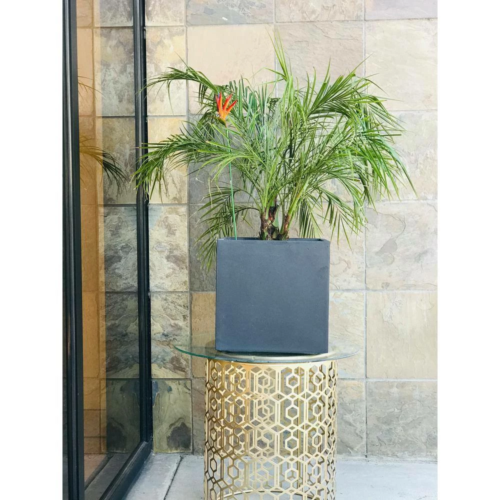 KANTE 12 in. H Square Charcoal Concrete/Fiberglass Indoor Outdoor Elegant Planter - Image 8