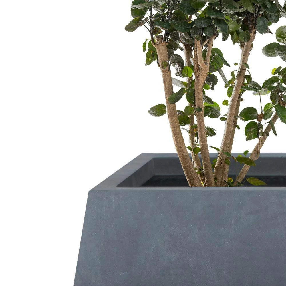 KANTE 21.2 in. and 16.1 in. W Square Charcoal Finish Lightweight Concrete/Fiberglass Planters with Drainage Holes (Set of 2) - Image 3