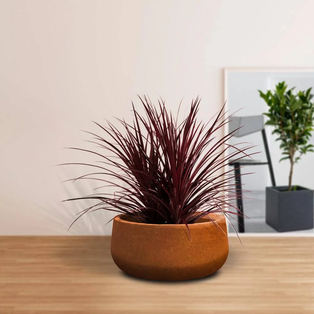 KANTE 16 in. Dia. Round Iron Oxide Concrete Bowl Planter, Outdoor Indoor Large Planter Pot with Drainage Hole - Image 2