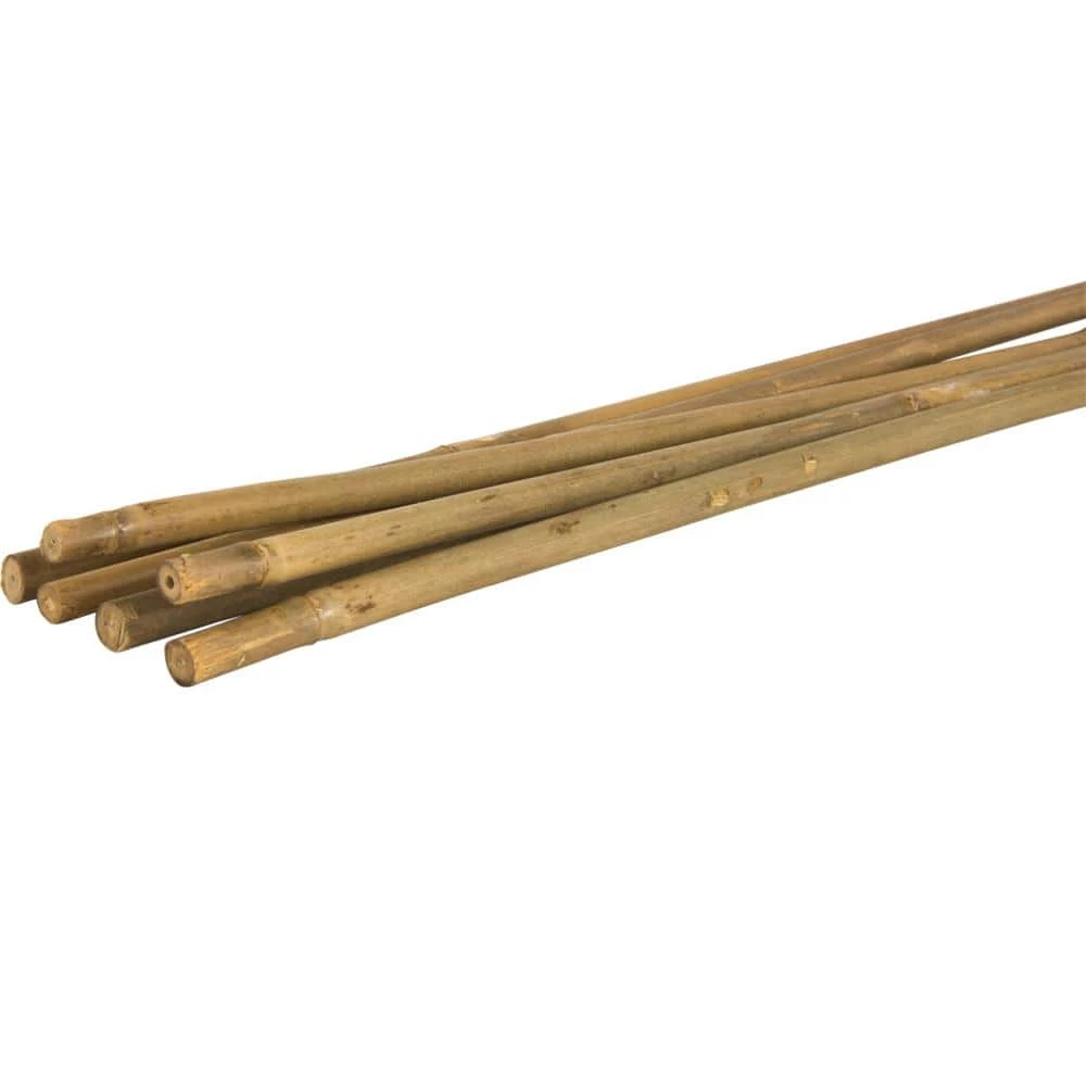 Vigoro Bamboo 6 ft. Natural Stake - Image 4