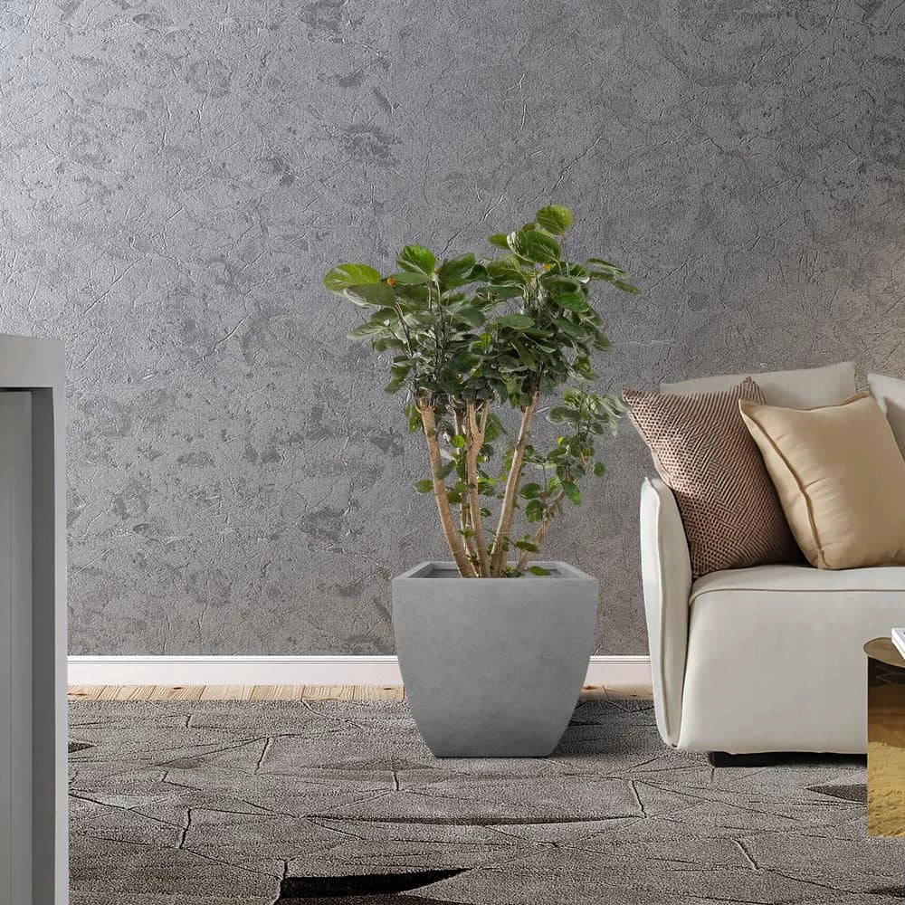 KANTE Square Natural Finish Lightweight Concrete & Weather Resistant Fiberglass Planters with Drainage Holes (Set of 3) - Image 7