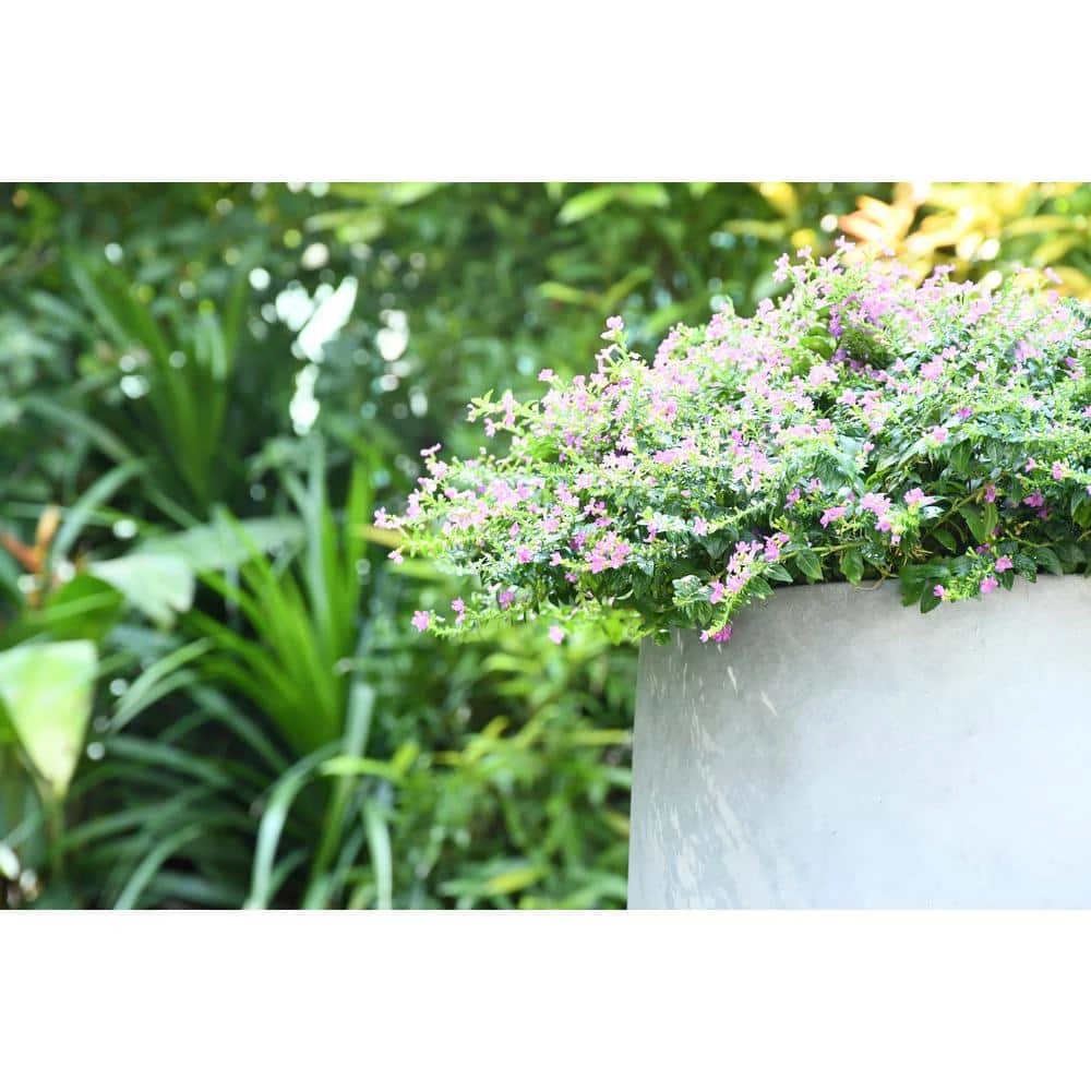 KANTE 17.3 in. Tall Natural Lightweight Concrete Footed Tulip Outdoor Round Planter (Set of 3) - Image 3