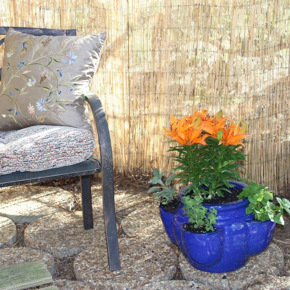 Vigoro 4 ft. H x 8 ft. W Natural Peeled and Polished Reed Fencing - Image 5