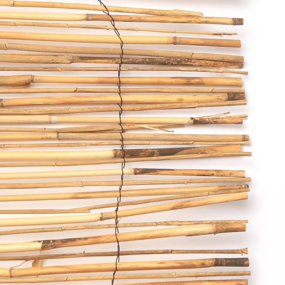 Vigoro 4 ft. H x 8 ft. W Natural Peeled and Polished Reed Fencing - Image 4