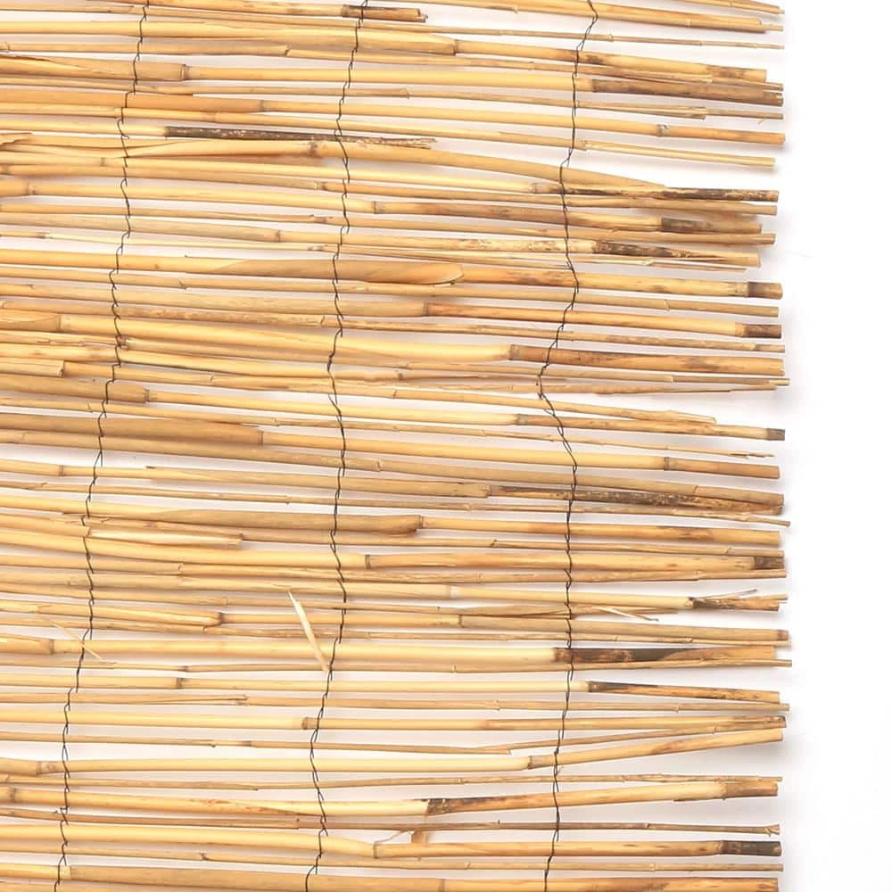 Vigoro 4 ft. H x 8 ft. W Natural Peeled and Polished Reed Fencing - Image 6