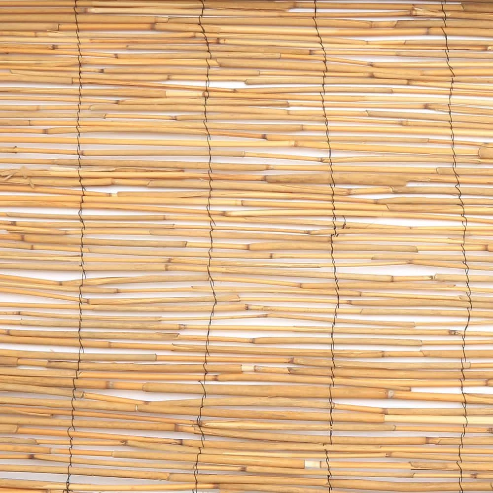 Vigoro 4 ft. H x 8 ft. W Natural Peeled and Polished Reed Fencing - Image 3