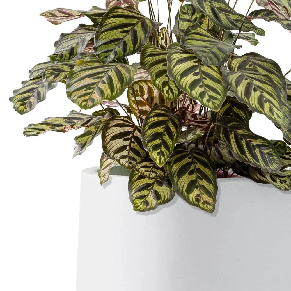 KANTE 17.3 in. H Round Pure White Concrete Planter, Outdoor Indoor Large Planter Pots Containers with Drainage Holes - Image 5