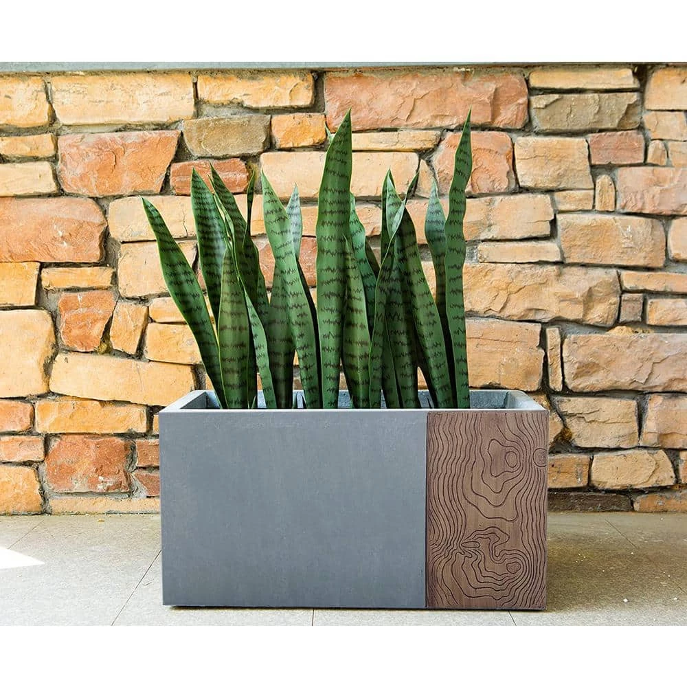 KANTE 31 in. L Rectangular Timber Ridge Concrete/Fiberglass Indoor Outdoor Elegant Long Planter - Image 6