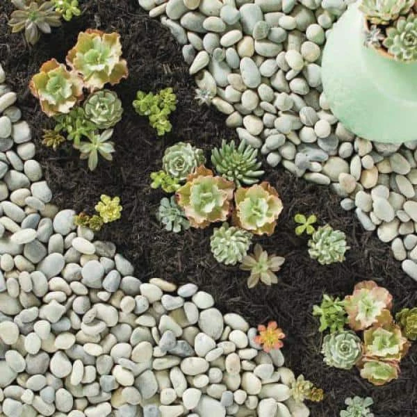 Vigoro 0.4 cu. ft. Bagged Mexican Beach Pebble Landscape Rock - Image 2