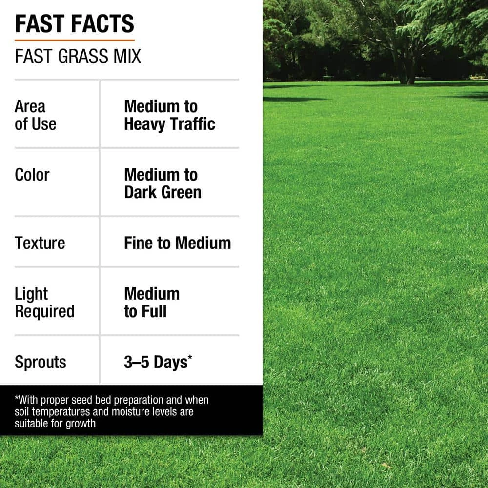 Vigoro 3 lbs. Fast Grass Seed Mix - Image 12