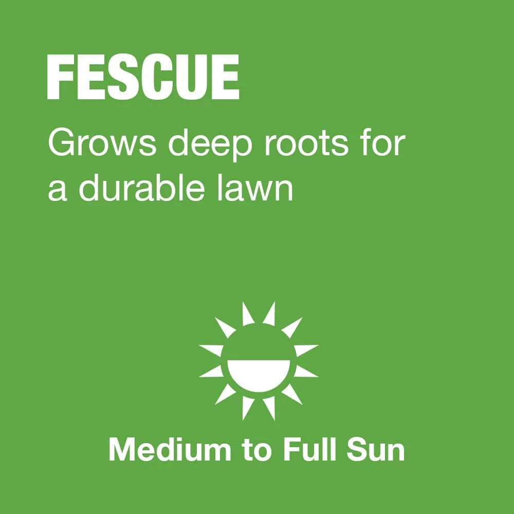 Vigoro 7 lbs. Tall Fescue Grass Seed Blend with Water Saver Seed Coating - Image 4