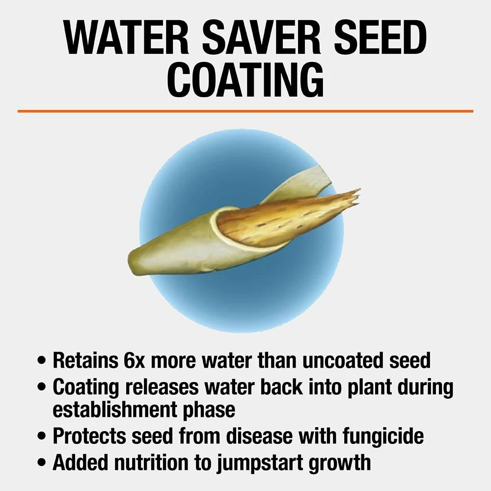 Vigoro 3 lbs. Dense Shade Grass Seed Mix with Water Saver Seed Coating - Image 5