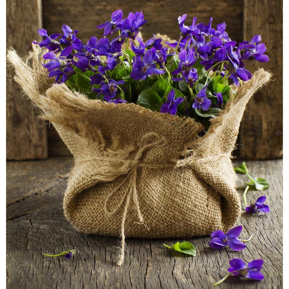 Vigoro 3 ft. x 24 ft. 100% Natural Burlap Landscape Fabric (2-Pack) - Image 8