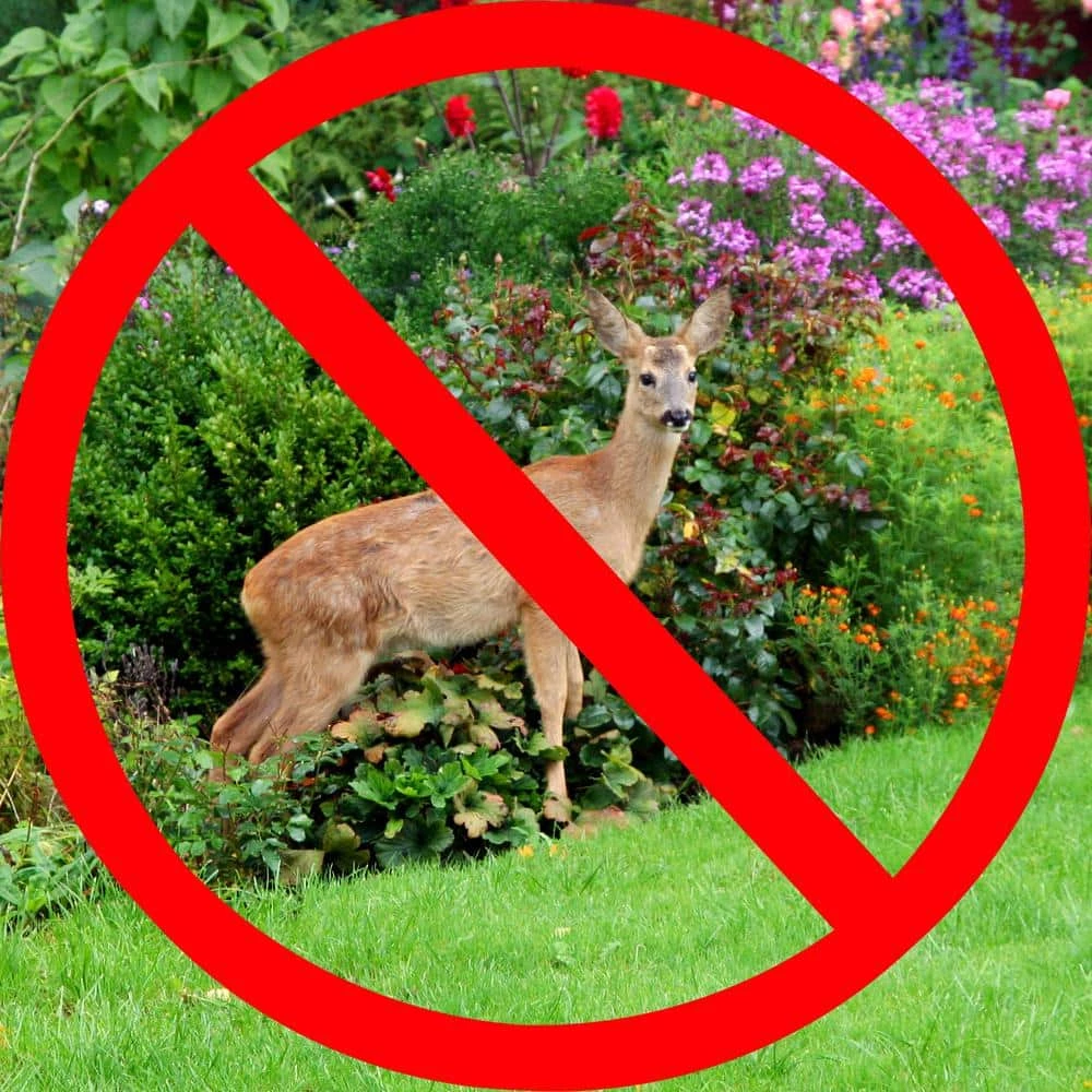 Vigoro 7 ft. x 100 ft. Polypropylene Deer Block Netting Barrier, UV Treated (5-Pack) - Image 4