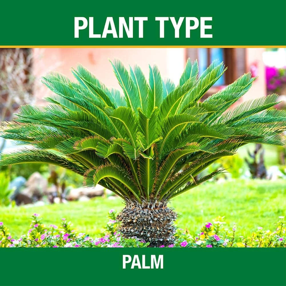 Vigoro 20 lb. All Season Ixora and Ornamental Plant Food (8-4-8) - Image 2