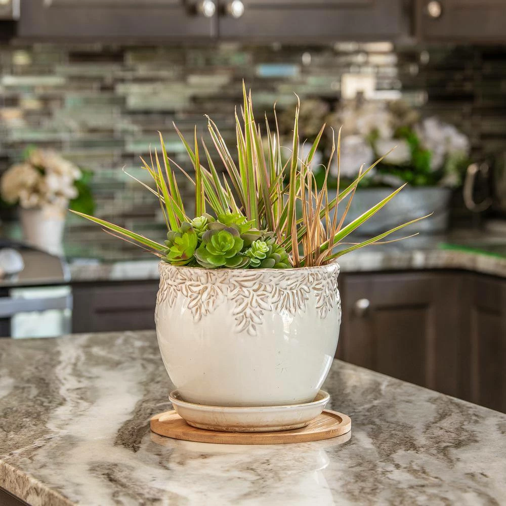 Vigoro 10 in. Bamboo Plant Saucer - Image 4