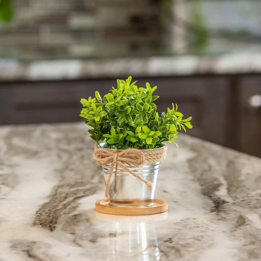 Vigoro 4 in. Bamboo Plant Saucer - Image 4