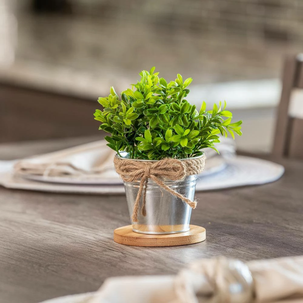 Vigoro 4 in. Bamboo Plant Saucer - Image 5