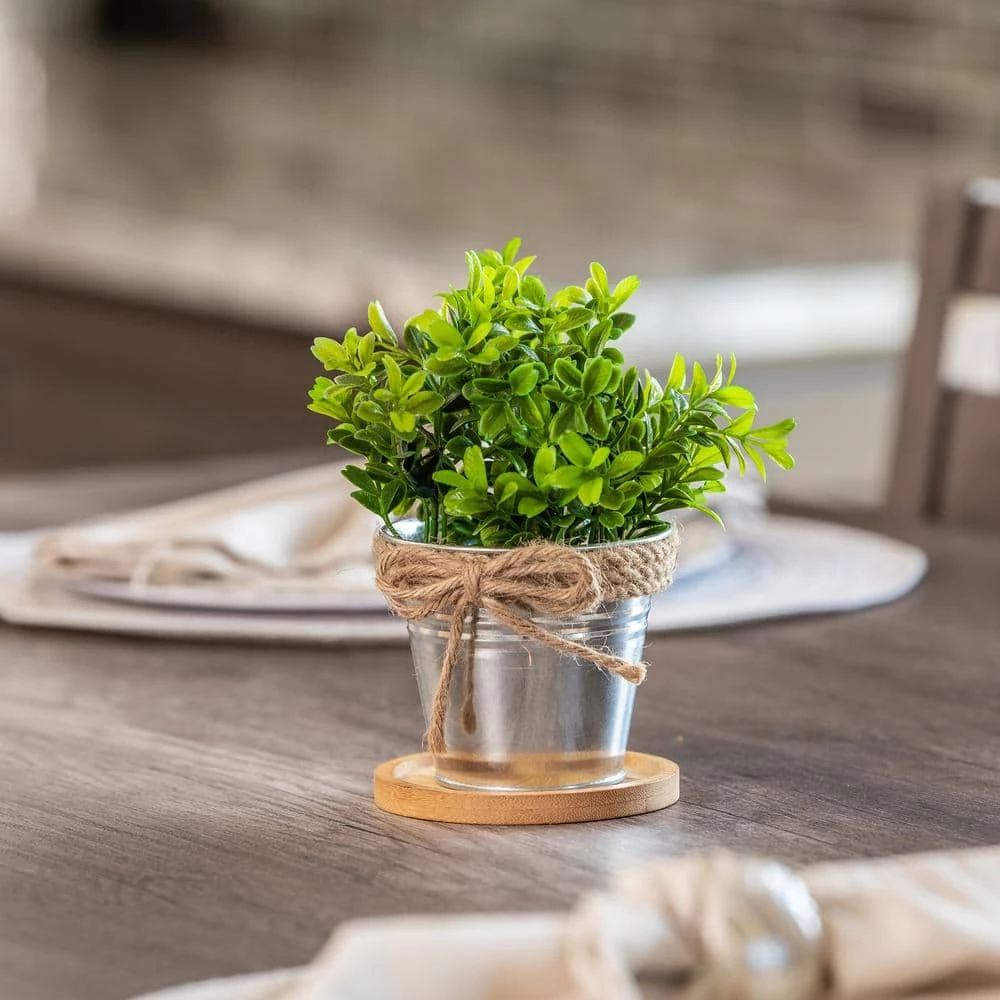 Vigoro 4 in. Bamboo Plant Saucer - Image 6