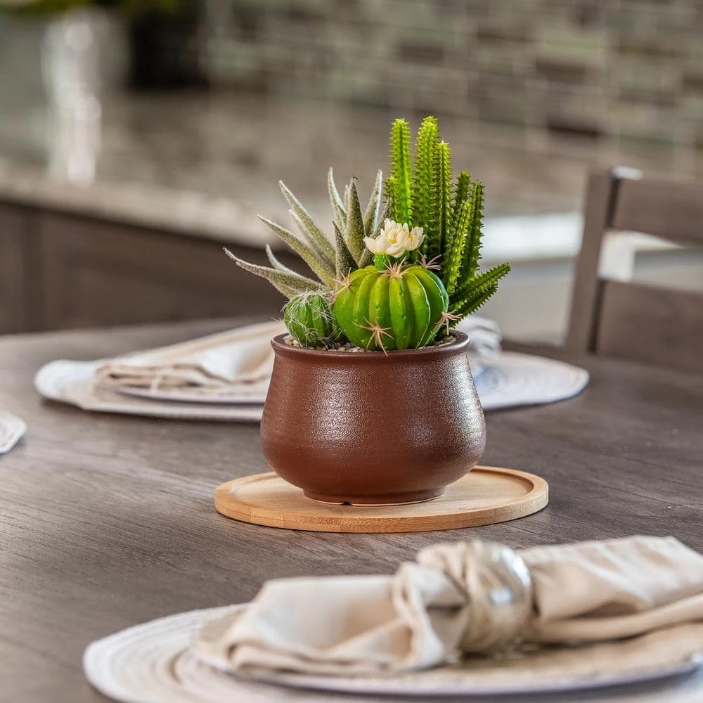 Vigoro 8 in. Bamboo Plant Saucer - Image 4