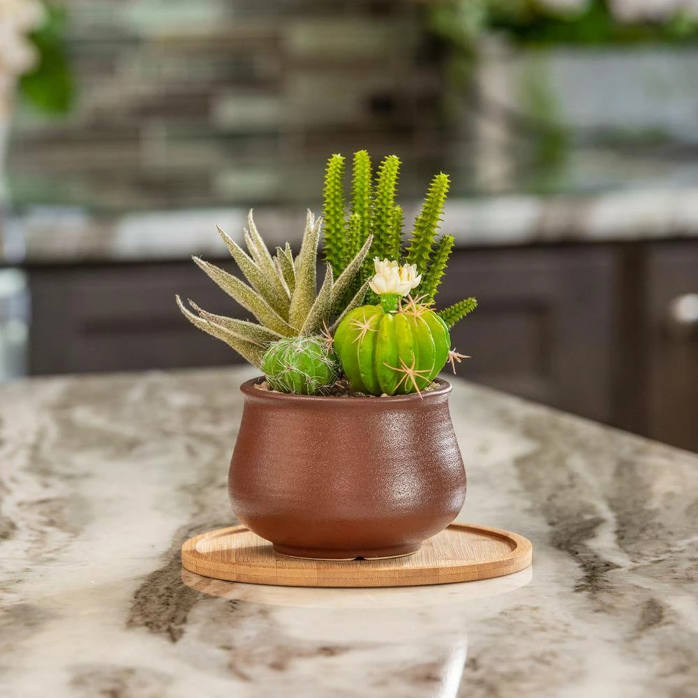 Vigoro 8 in. Bamboo Plant Saucer - Image 6