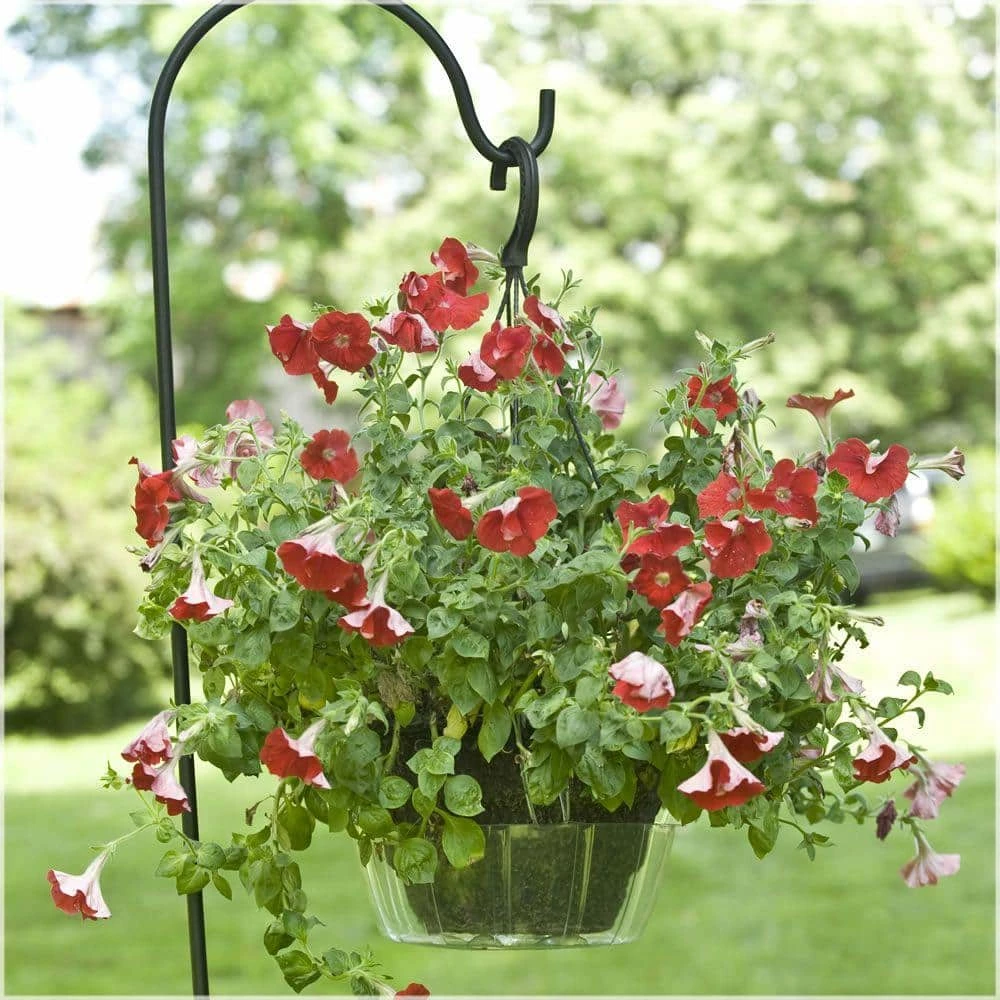 Vigoro Drip Catcher Hanging Saucer - Image 2