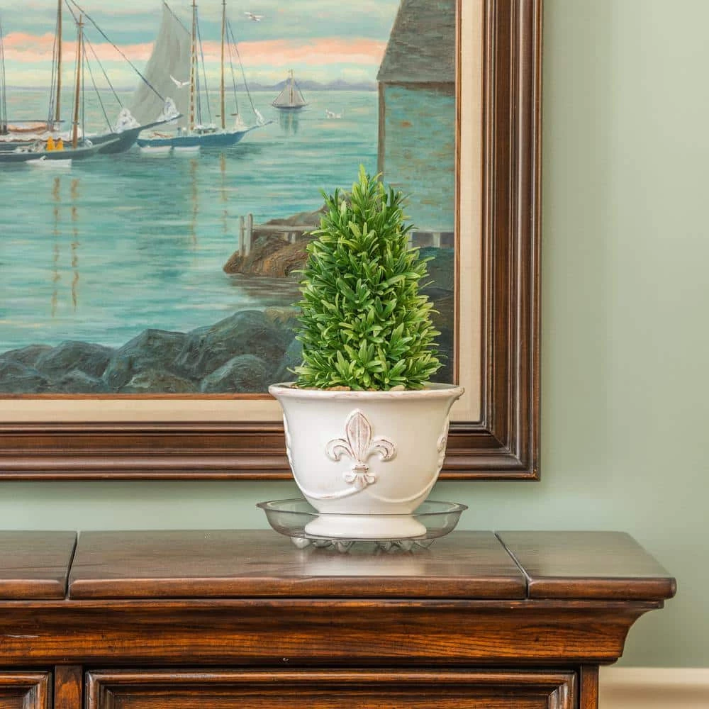 Vigoro 10 in. Heavy Duty Plant Saucer - Image 4