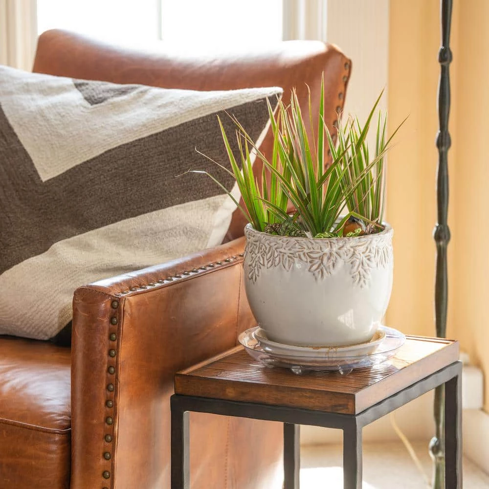 Vigoro 10 in. Heavy Duty Plant Saucer - Image 2