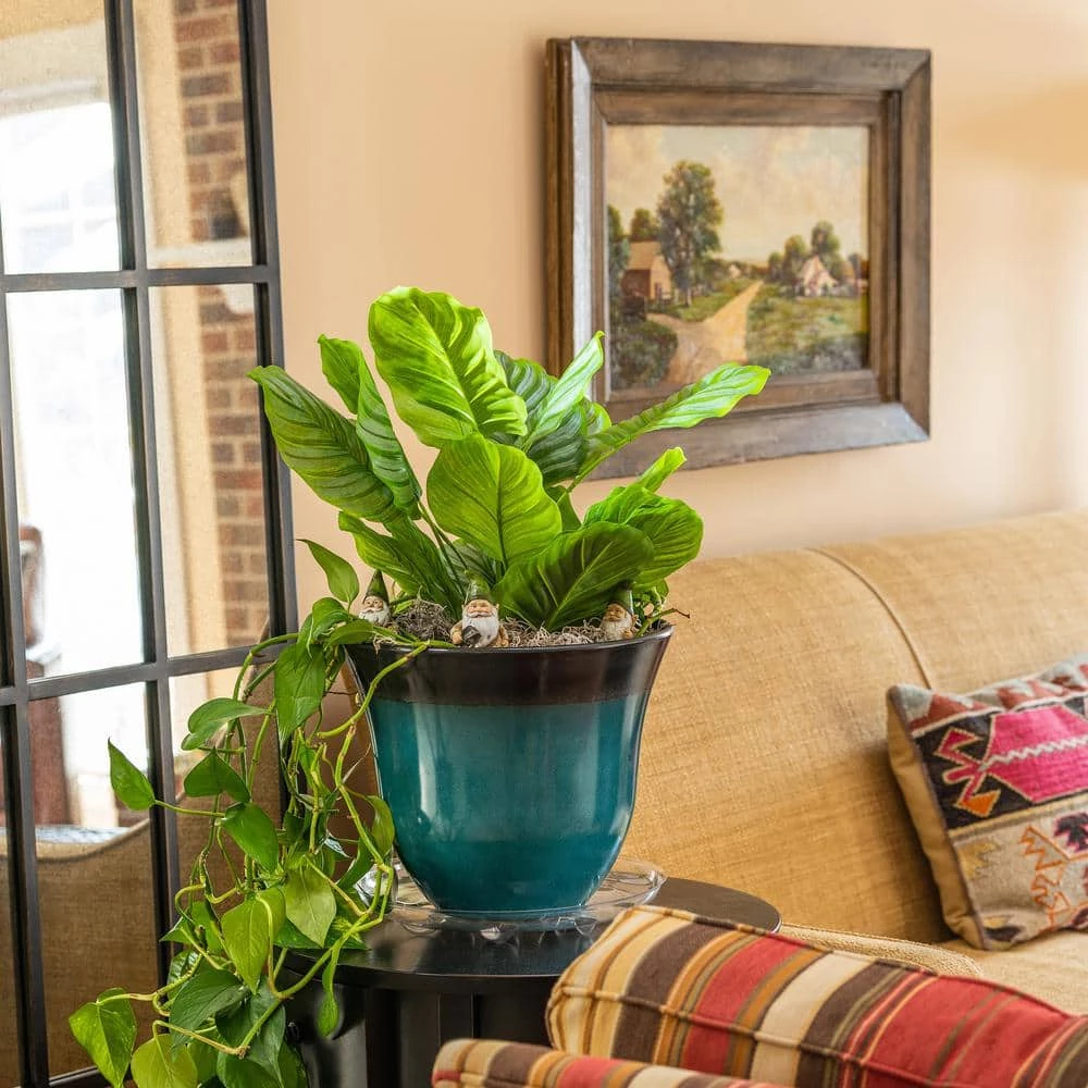 Vigoro 12 in. Heavy Duty Plant Saucer - Image 4