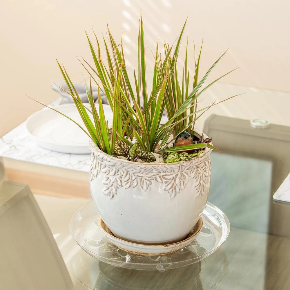 Vigoro 12 in. Heavy Duty Plant Saucer - Image 2