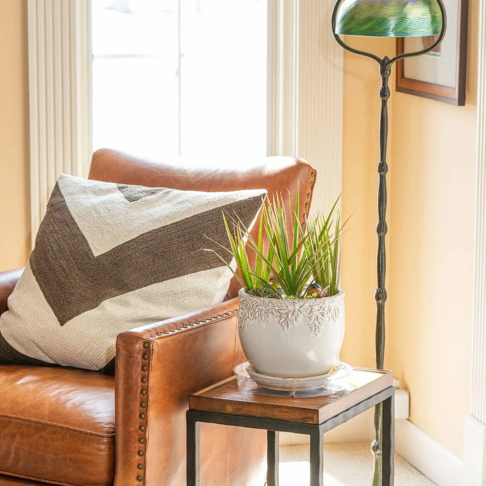 Vigoro 10 in. Plastic Plant Saucer - Image 4