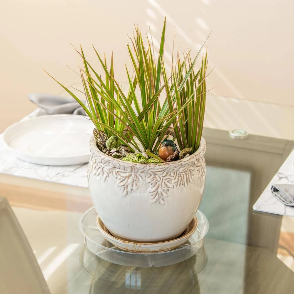 Vigoro 10 in. Plastic Plant Saucer - Image 2