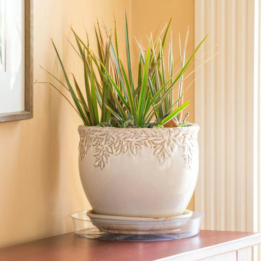 Vigoro 10 in. Plastic Plant Saucer - Image 6