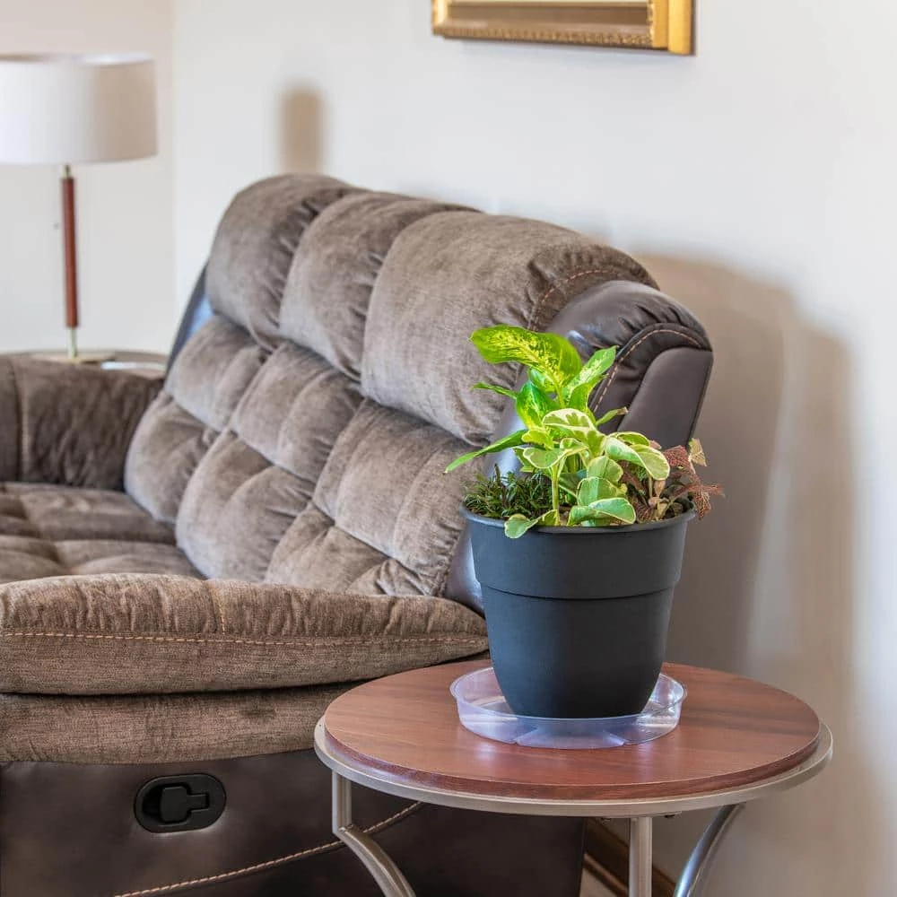 Vigoro 12 in. Plastic Plant Saucer - Image 3