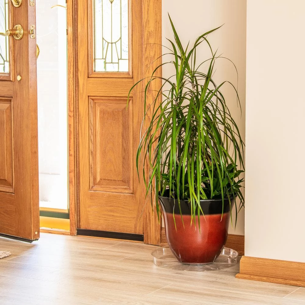 Vigoro 14 in. Plastic Plant Saucer - Image 4