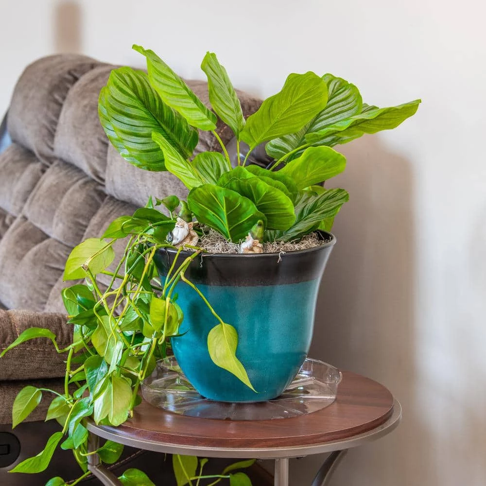 Vigoro 14 in. Plastic Plant Saucer - Image 5