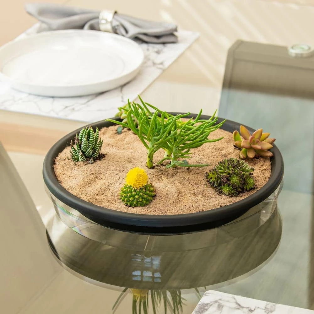 Vigoro 14 in. Plastic Plant Saucer - Image 2