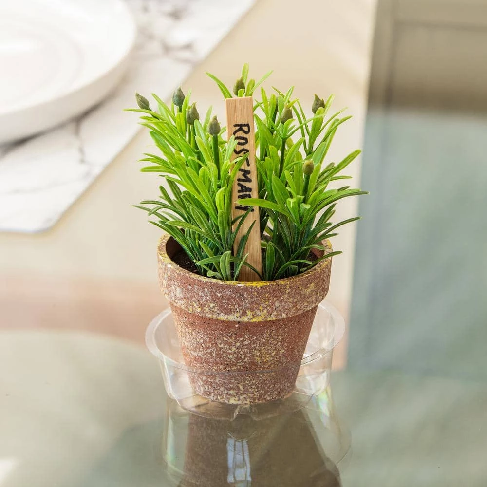 Vigoro 4 in. Plastic Plant Saucer - Image 4