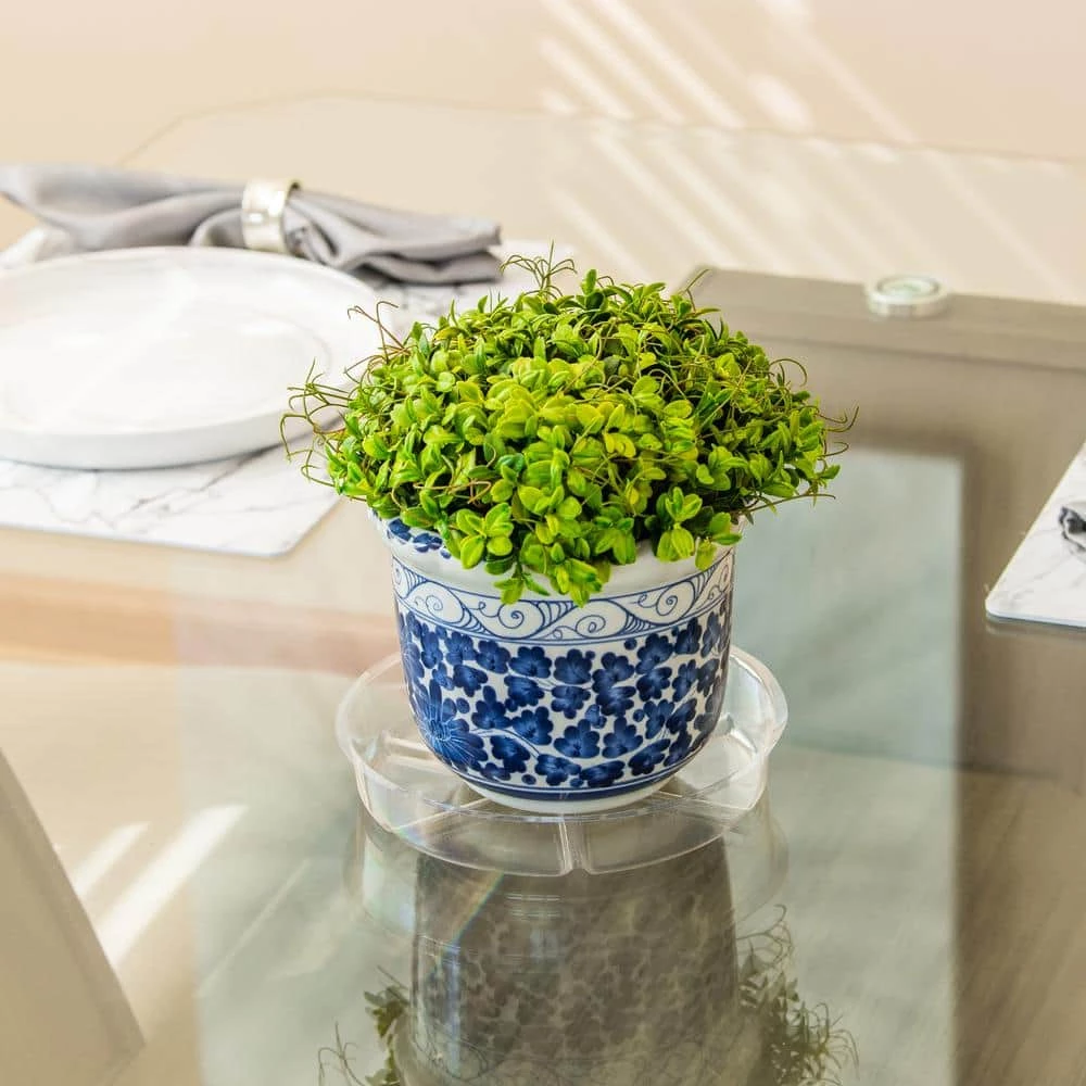 Vigoro 8 in. Plastic Plant Saucer - Image 4