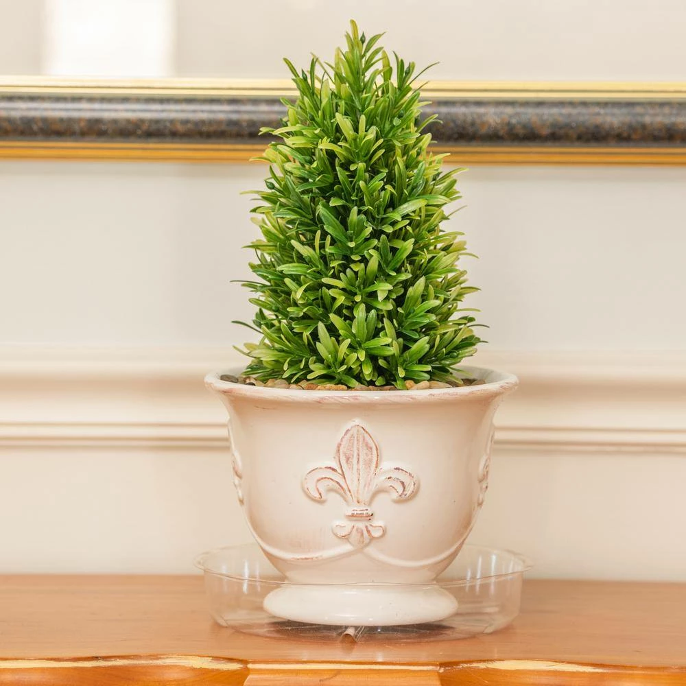 Vigoro 8 in. Plastic Plant Saucer - Image 7