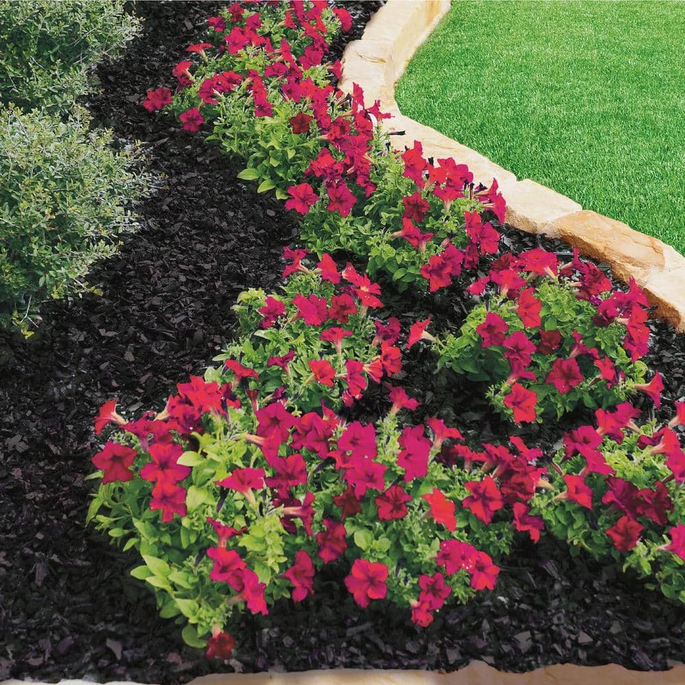 Vigoro 37.5 cu. ft. Black Recycled Rubber Mulch (25 Bags) - Image 4
