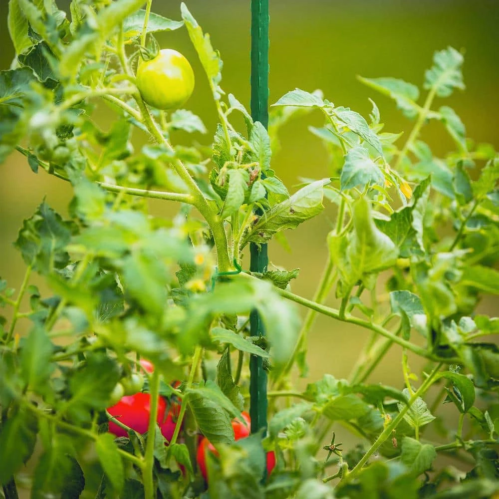 Vigoro 3 ft. Green Colored Steel Core Garden Stake - Image 2