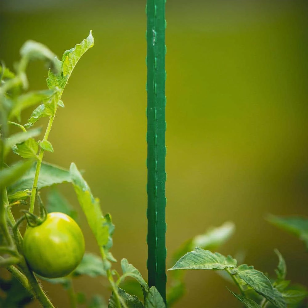 Vigoro 3 ft. Green Colored Steel Core Garden Stake - Image 8