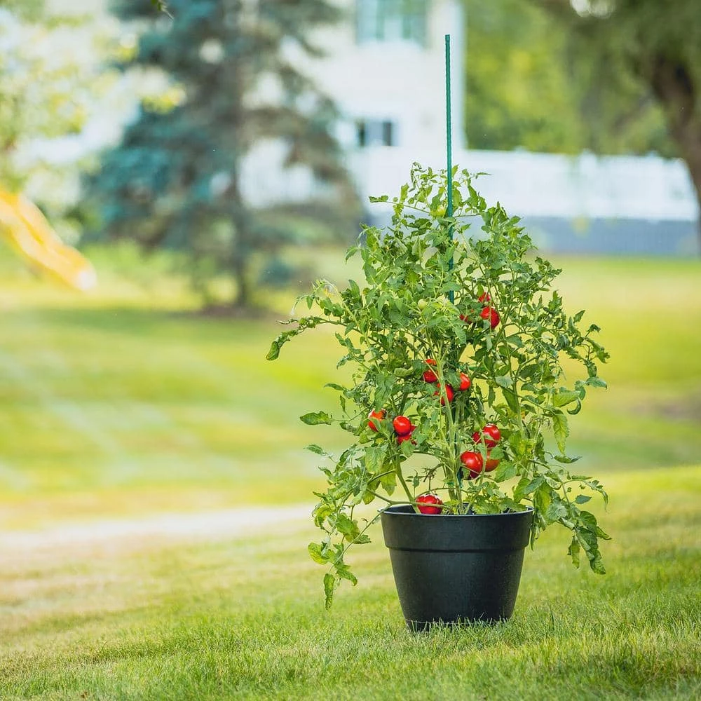 Vigoro 5 ft. Green Colored Steel Core Garden Stake - Image 4