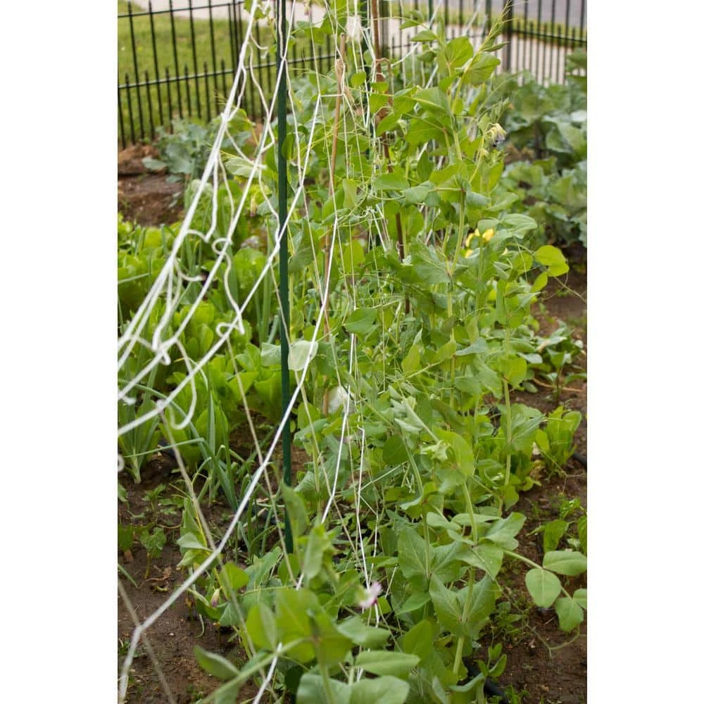 Vigoro 5 ft. x 8 ft. Sturdy Garden Trellis - Image 5
